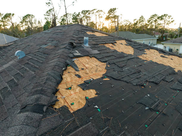 Best 4 Ply Roofing  in South Gate, CA