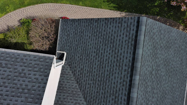 Best Roof Moss and Algae Removal  in South Gate, CA